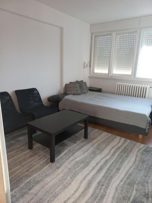 Apartment Cvijiceva *